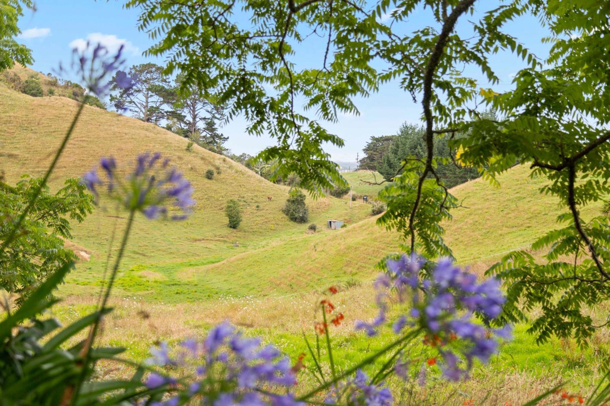 Raglan Country Lodge Екстериор снимка